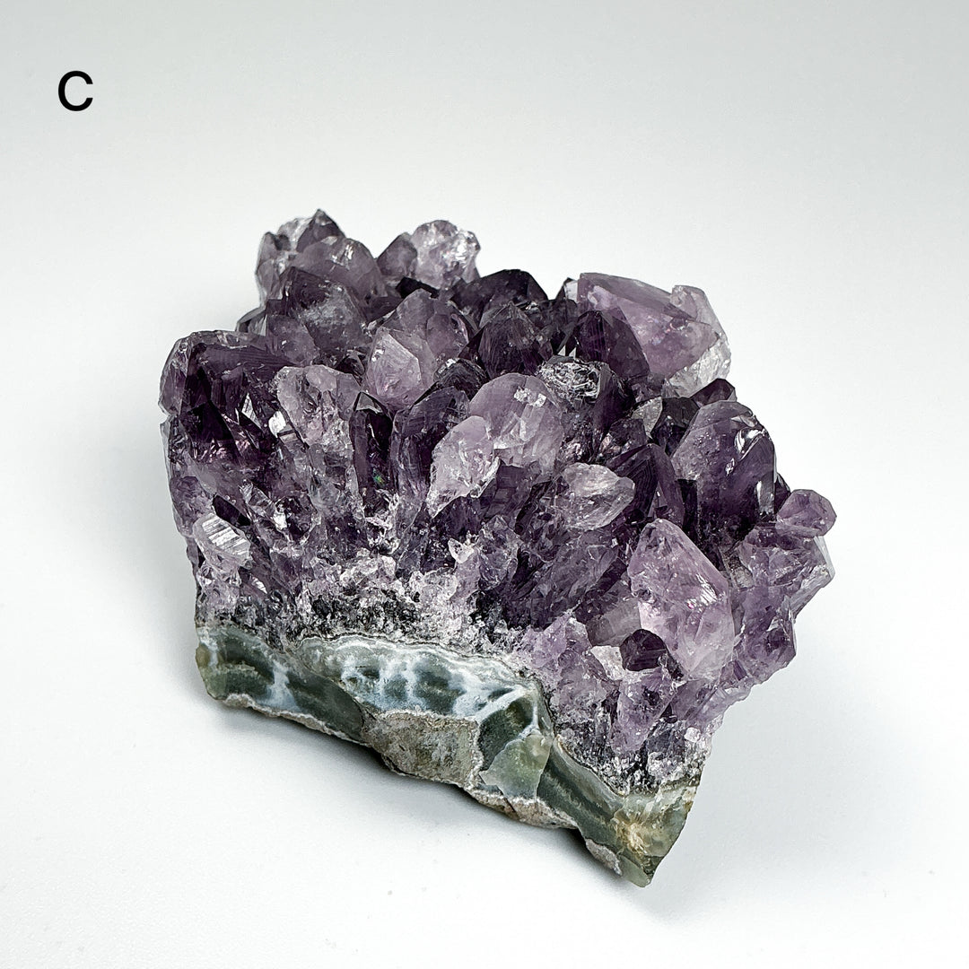 Amethyst Druze Cluster
