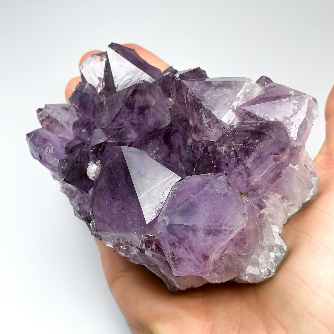 Amethyst Druze Cluster