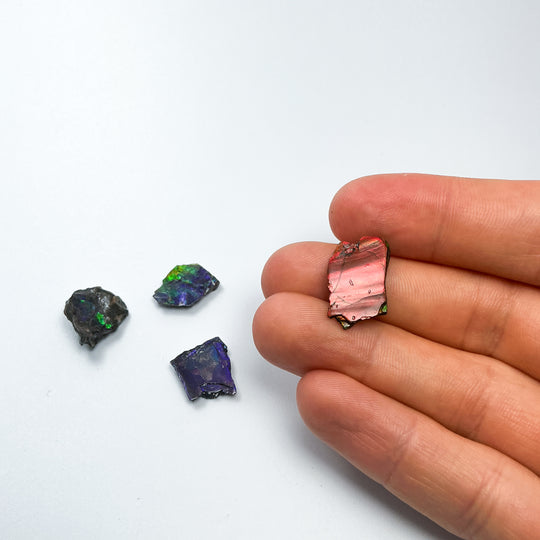 Ammolite Specimen