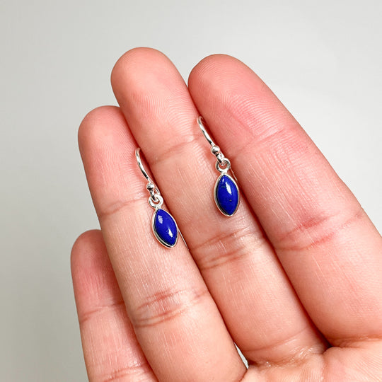 Lapis Lazuli Dangle Earrings - Rocks and Gems Canada