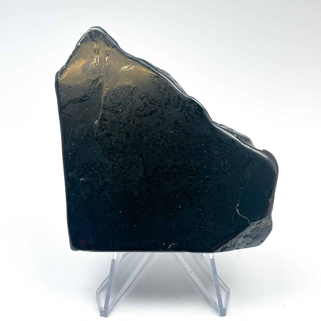 Shungite Slice - Rocks and Gems Canada