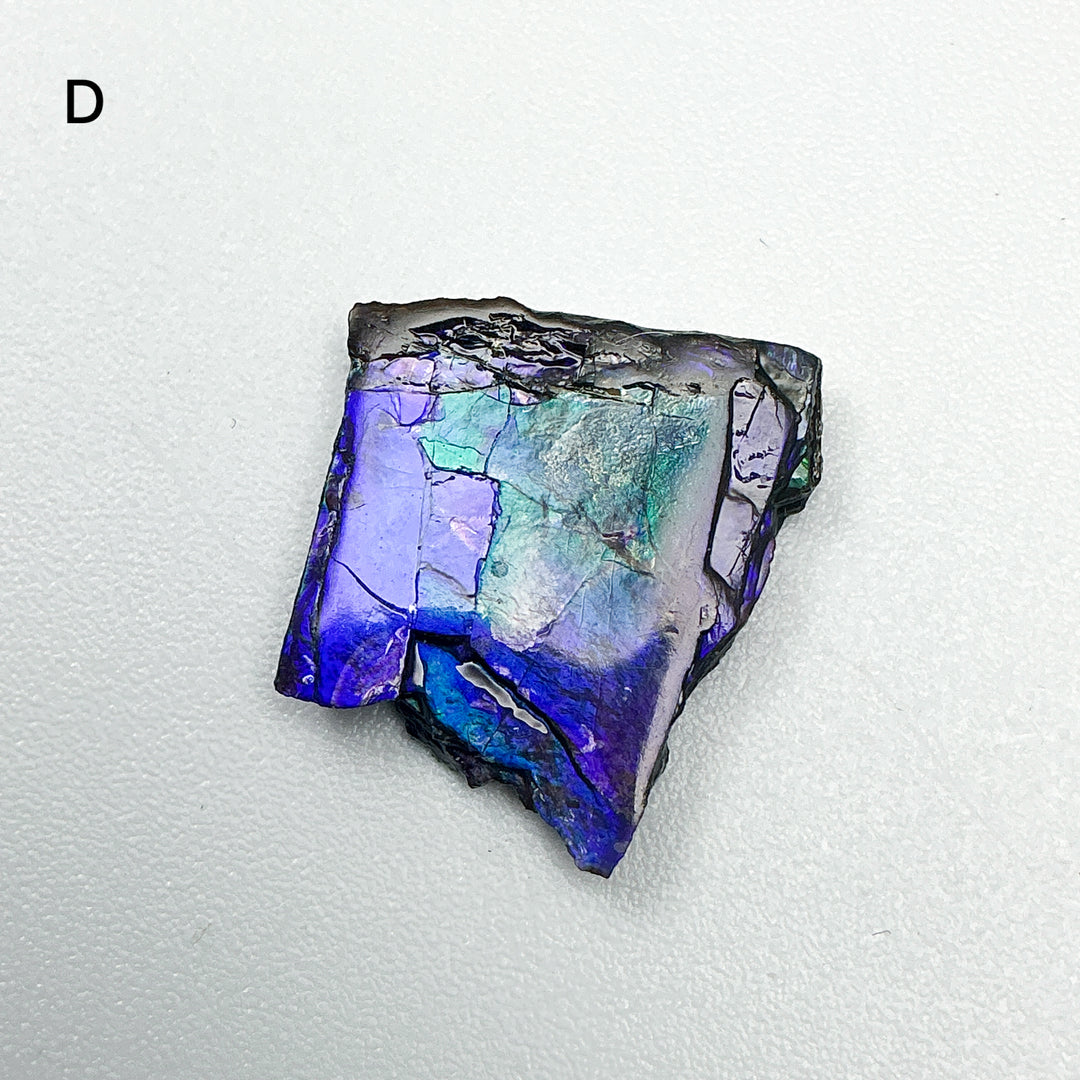Ammolite Specimen