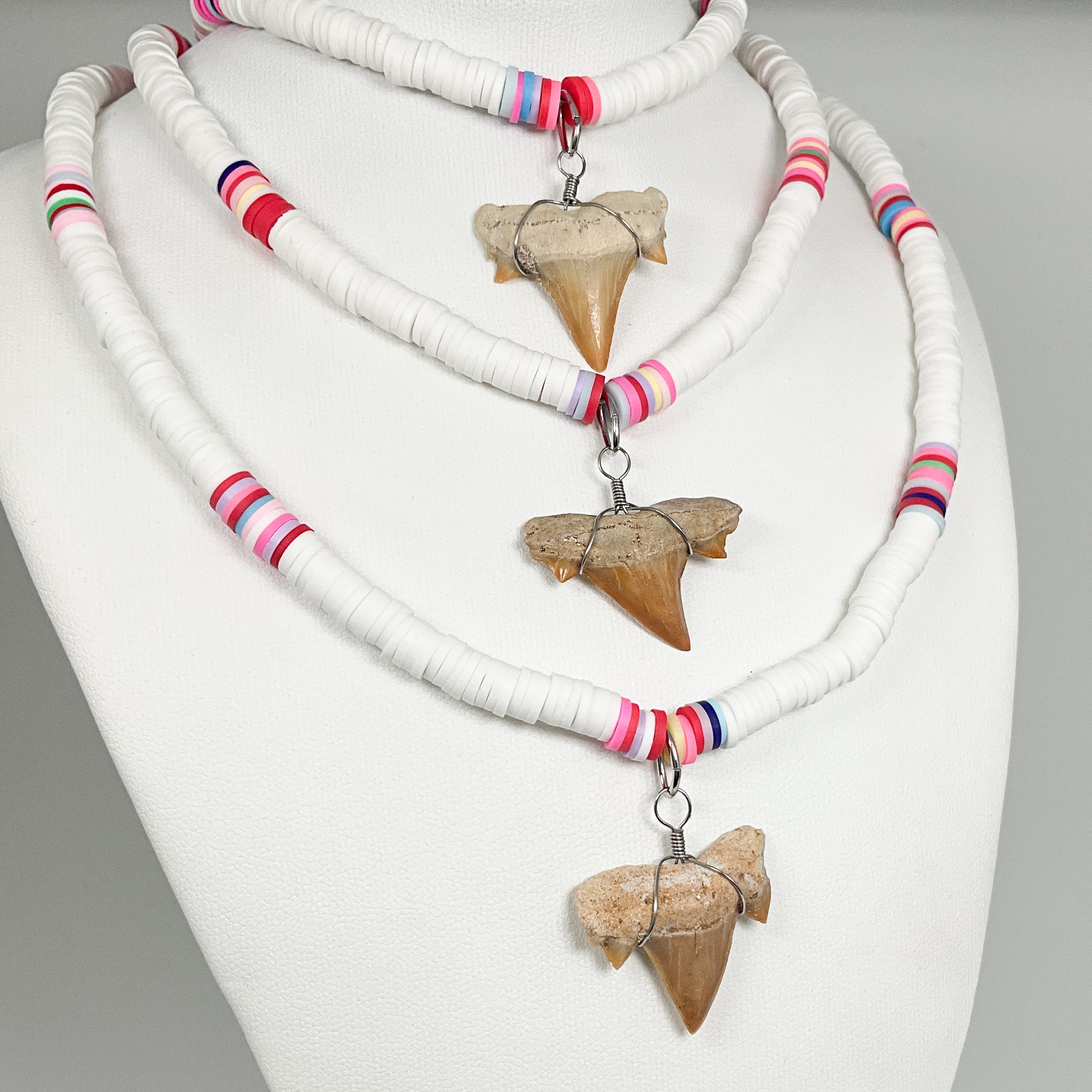 Fossilized Shark Tooth Necklace - Rocks and Gems Canada