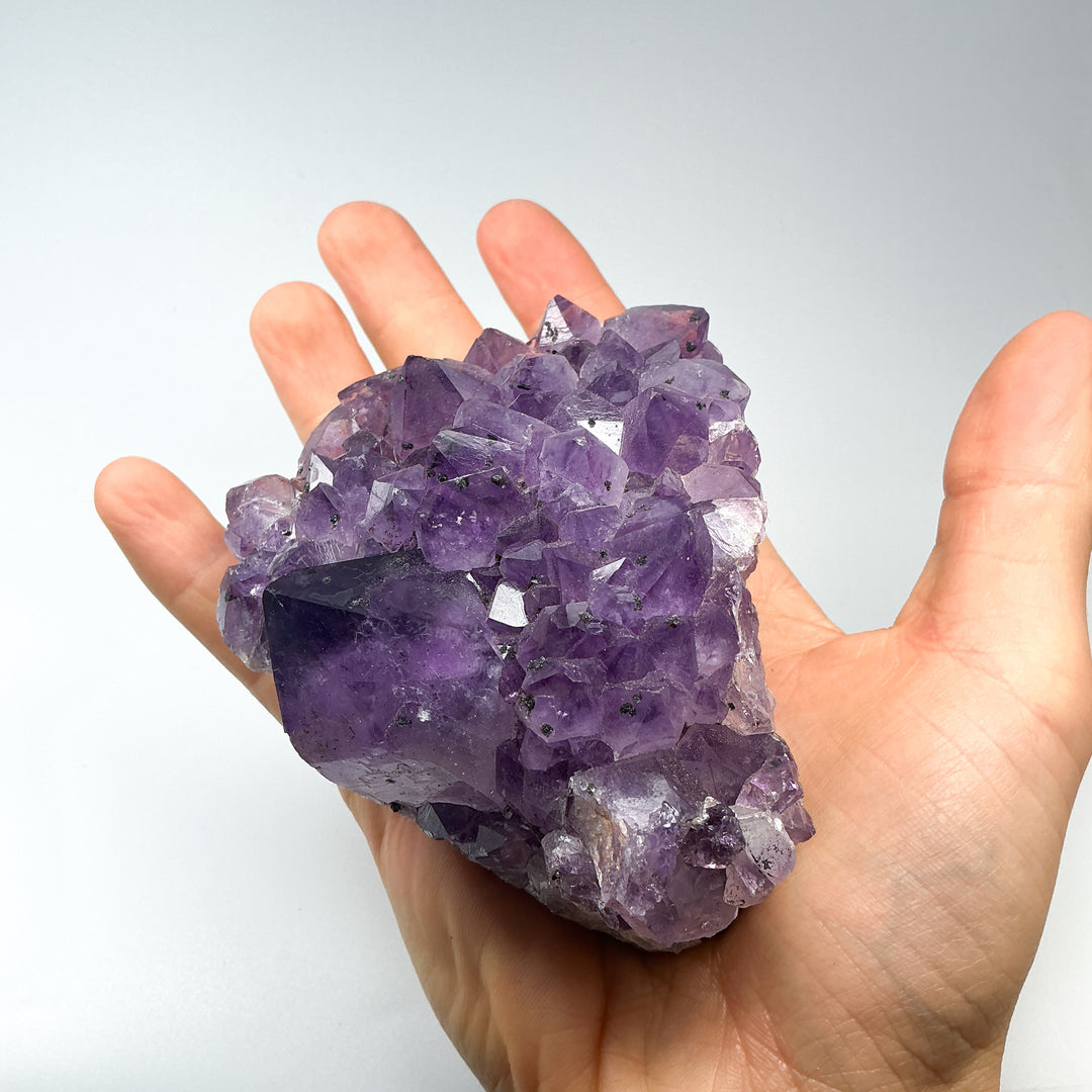 Amethyst Druze Cluster