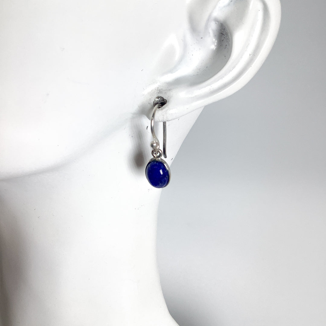 Lapis Lazuli Dangle Earrings - Rocks and Gems Canada