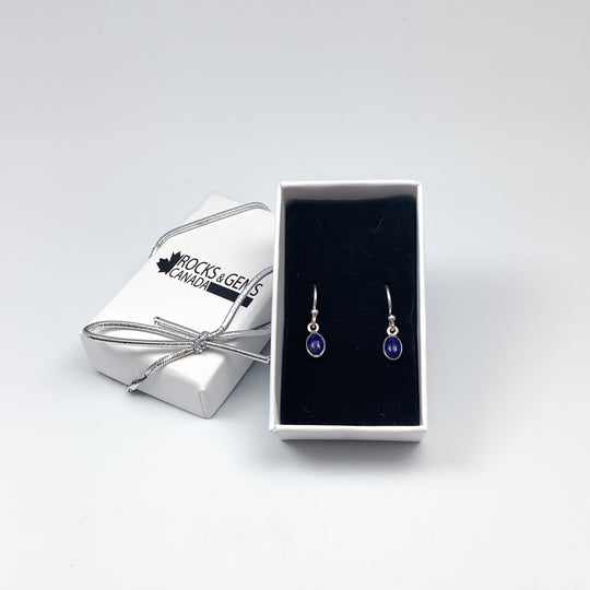 Lapis Lazuli Dangle Earrings - Rocks and Gems Canada