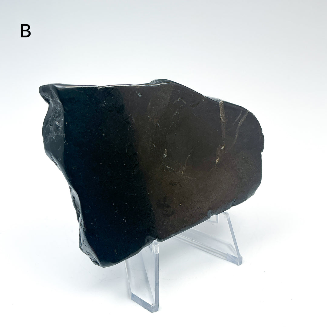 Shungite Slice - Rocks and Gems Canada