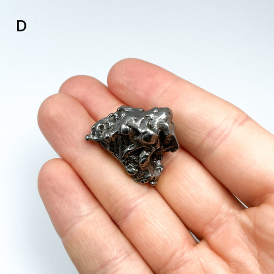 Campo Del Cielo Meteorite