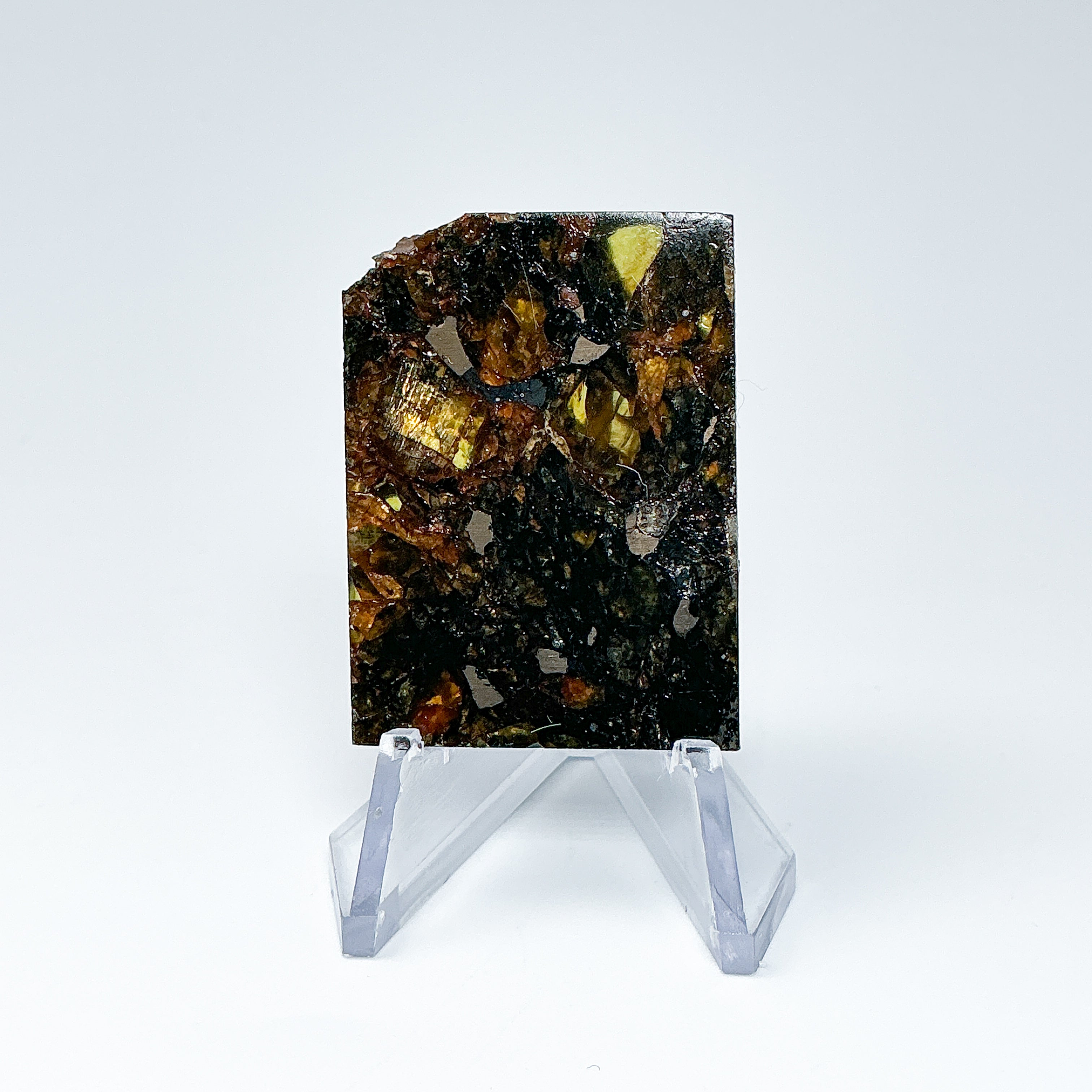 Admire Meteorite Slice - Rocks and Gems Canada