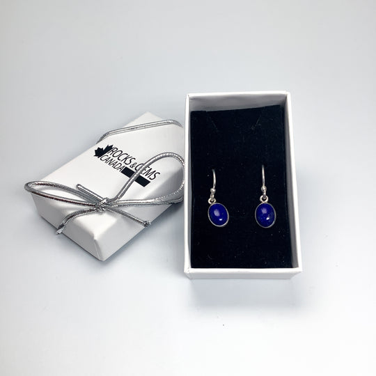 Lapis Lazuli Dangle Earrings - Rocks and Gems Canada