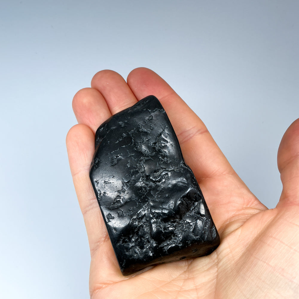 Shungite Slice