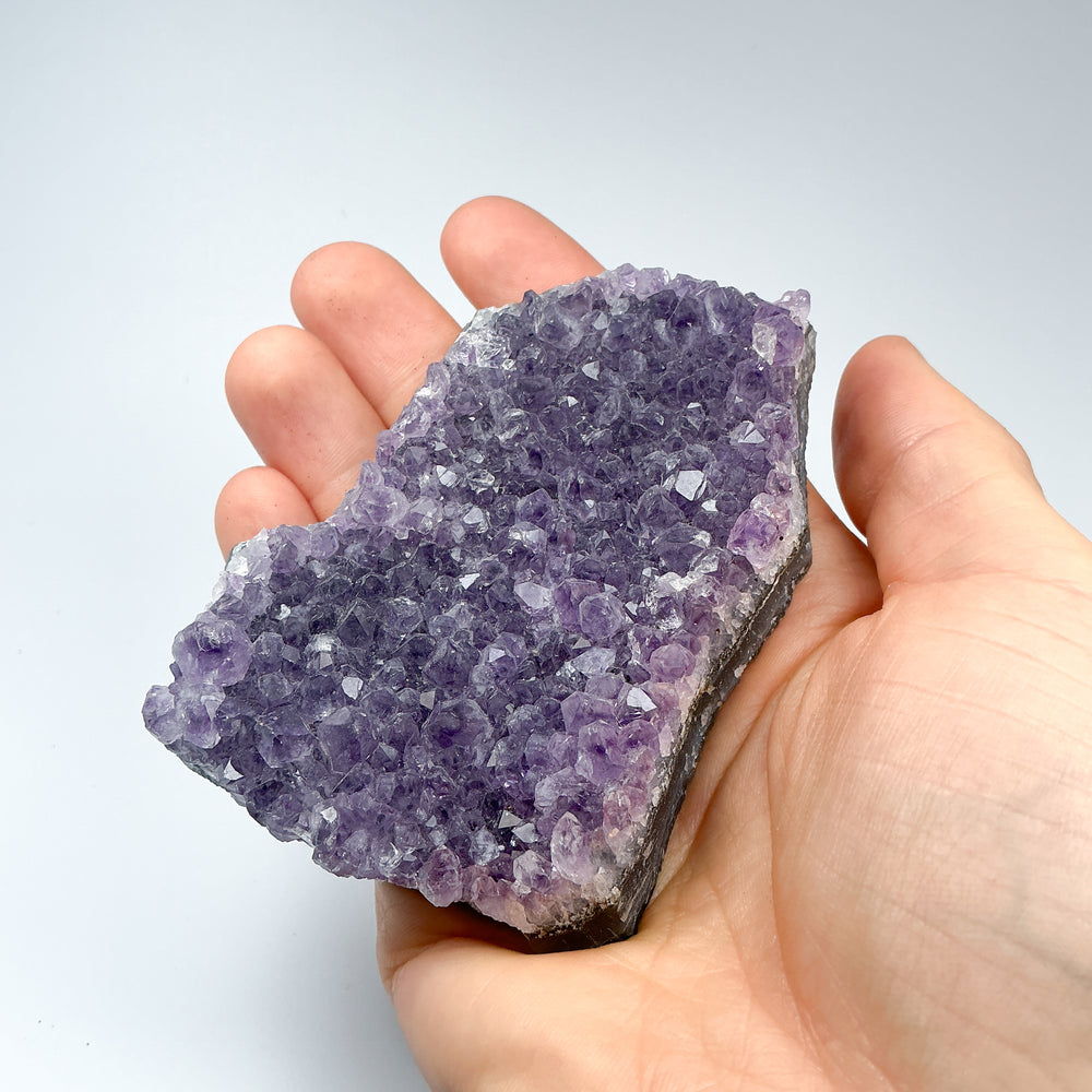 Amethyst Druze Cluster