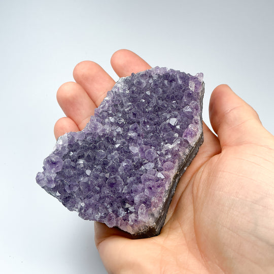 Amethyst Druze Cluster