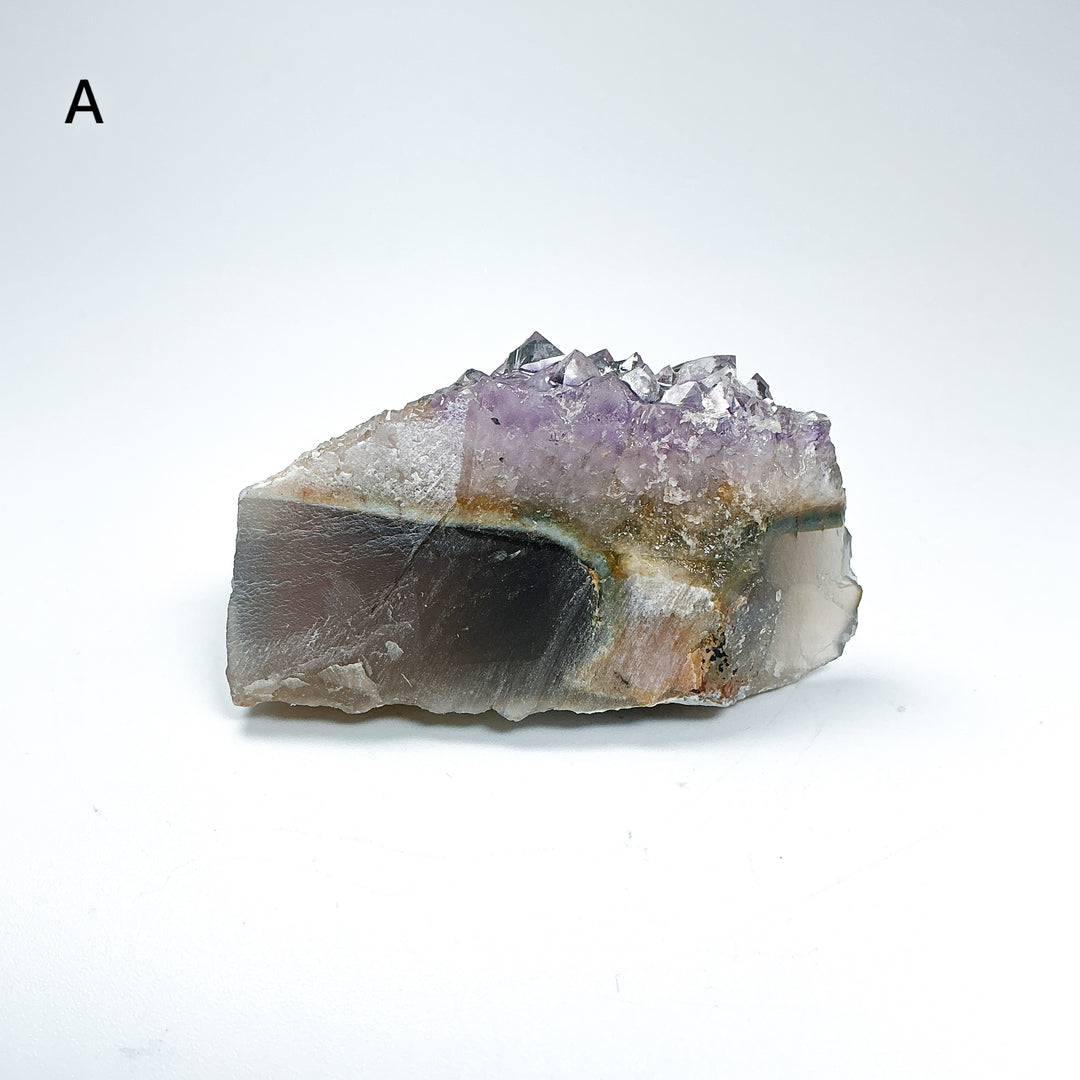 BC Jade Bear with Fish on Amethyst Base - Rocks and Gems Canada