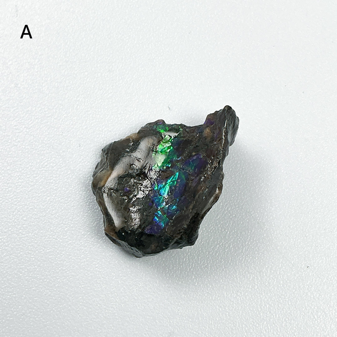 Ammolite Specimen