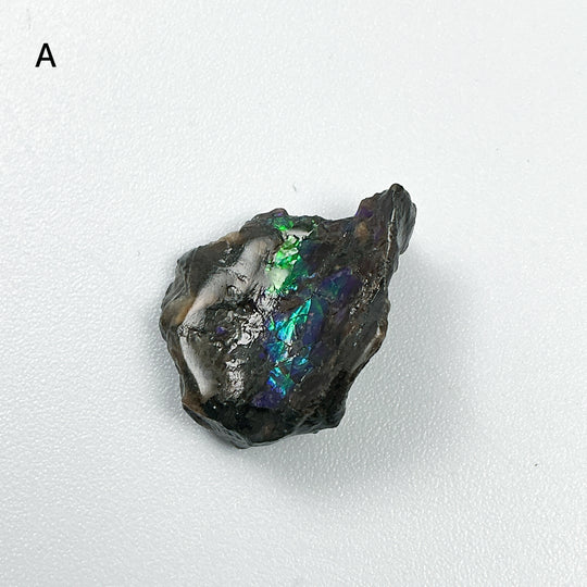Ammolite Specimen