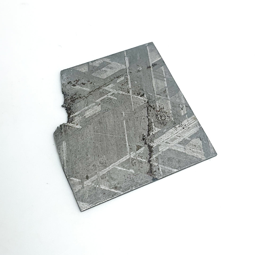 Muonionalusta Meteorite Slice
