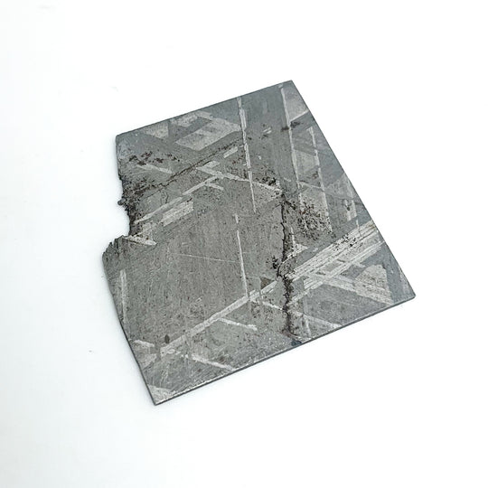 Muonionalusta Meteorite Slice