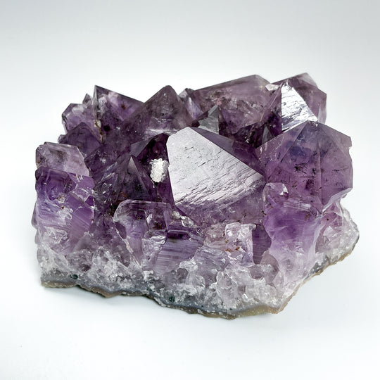 Amethyst Druze Cluster