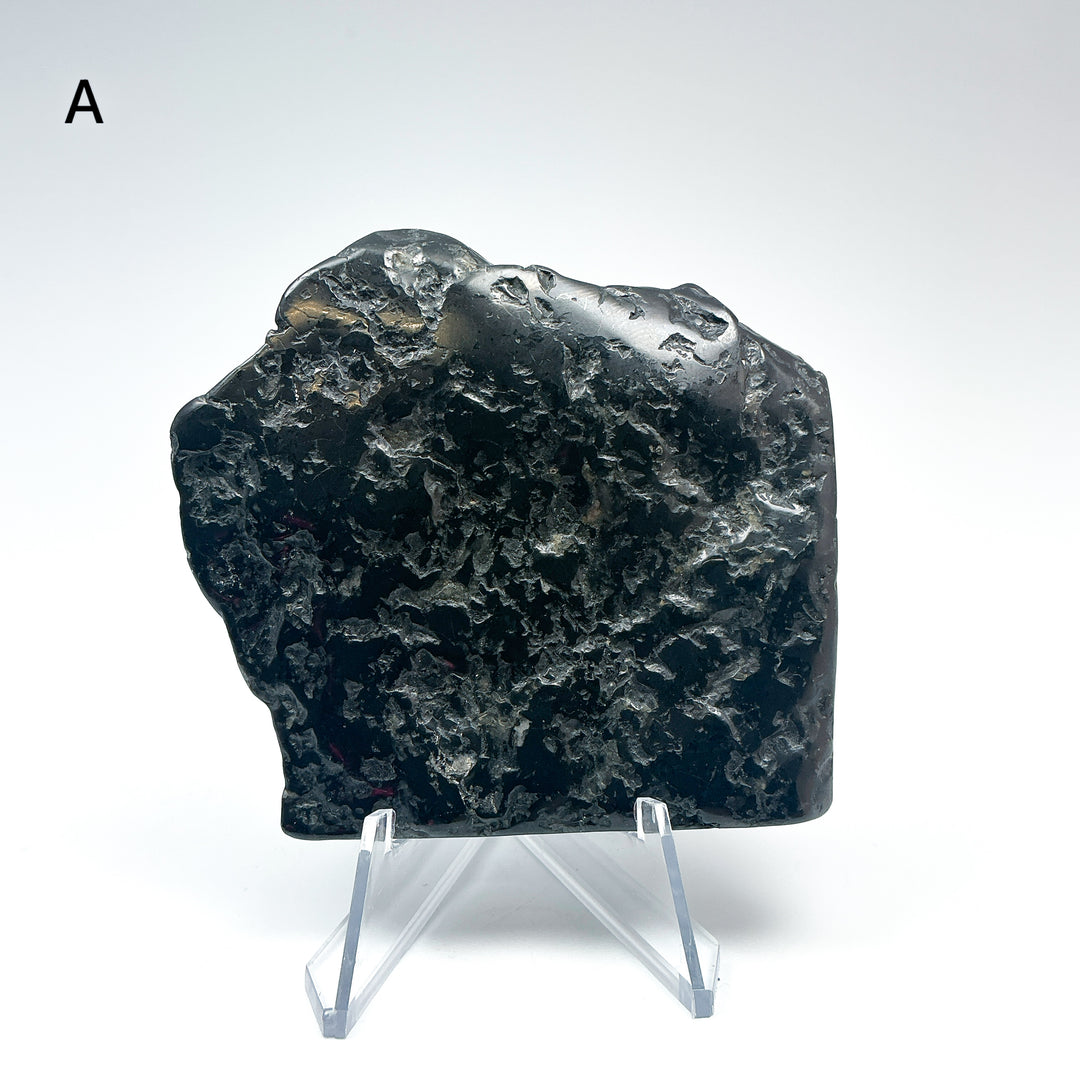 Shungite Slice - Rocks and Gems Canada