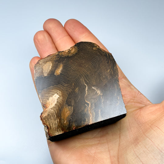 Petrified Wood Stand Up - Rocks and Gems Canada