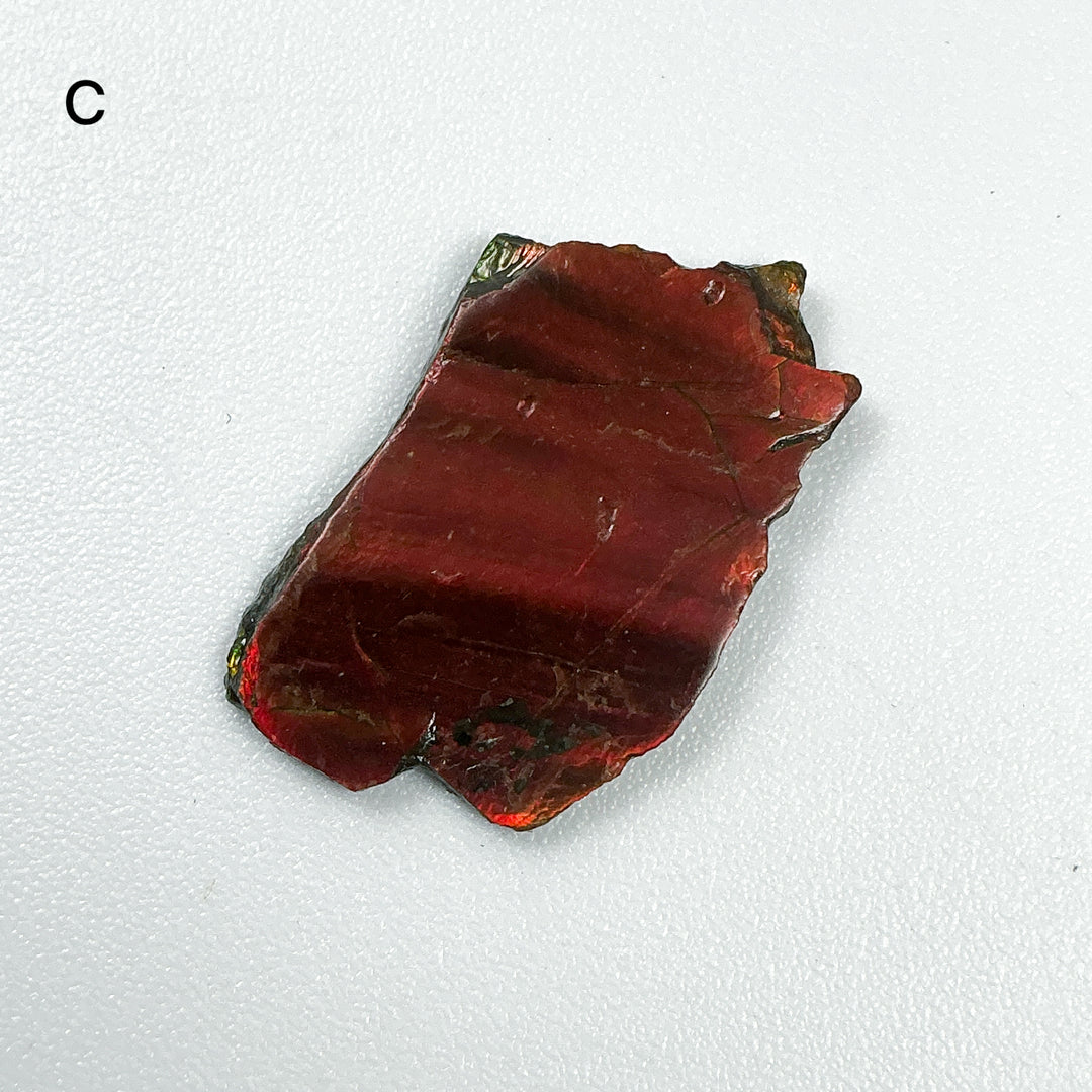 Ammolite Specimen