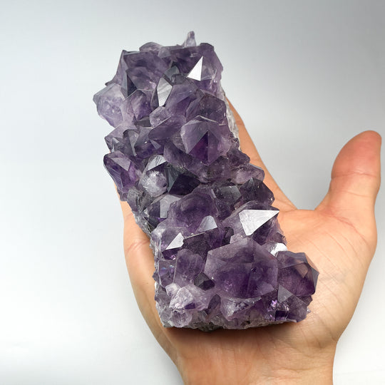 Amethyst Druze Cluster