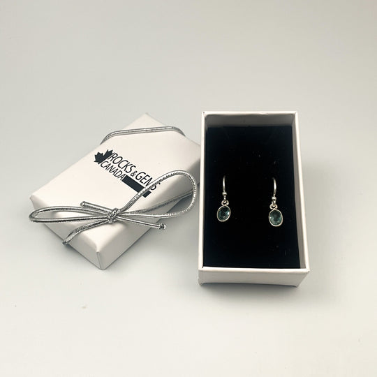 Aquamarine Dangle Earrings