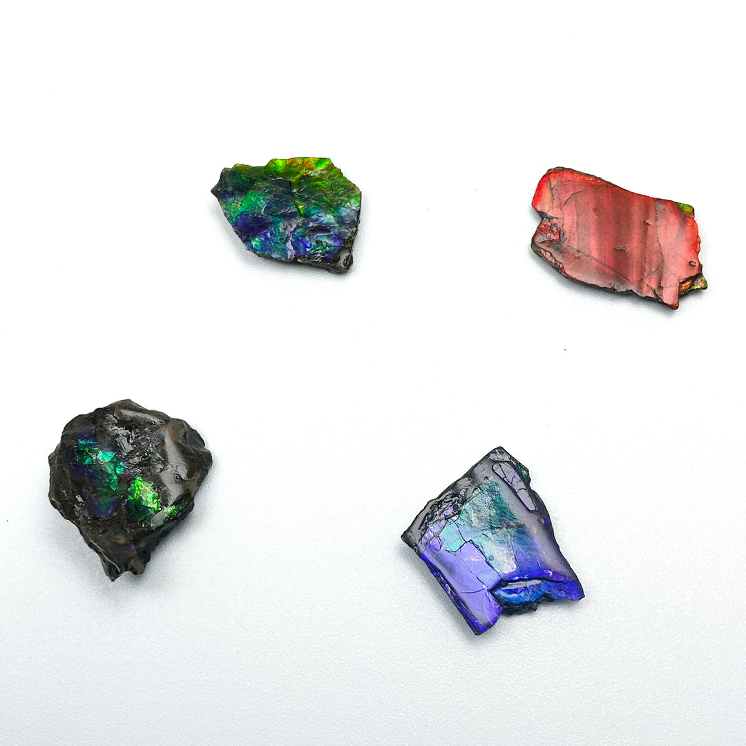 Ammolite Specimen