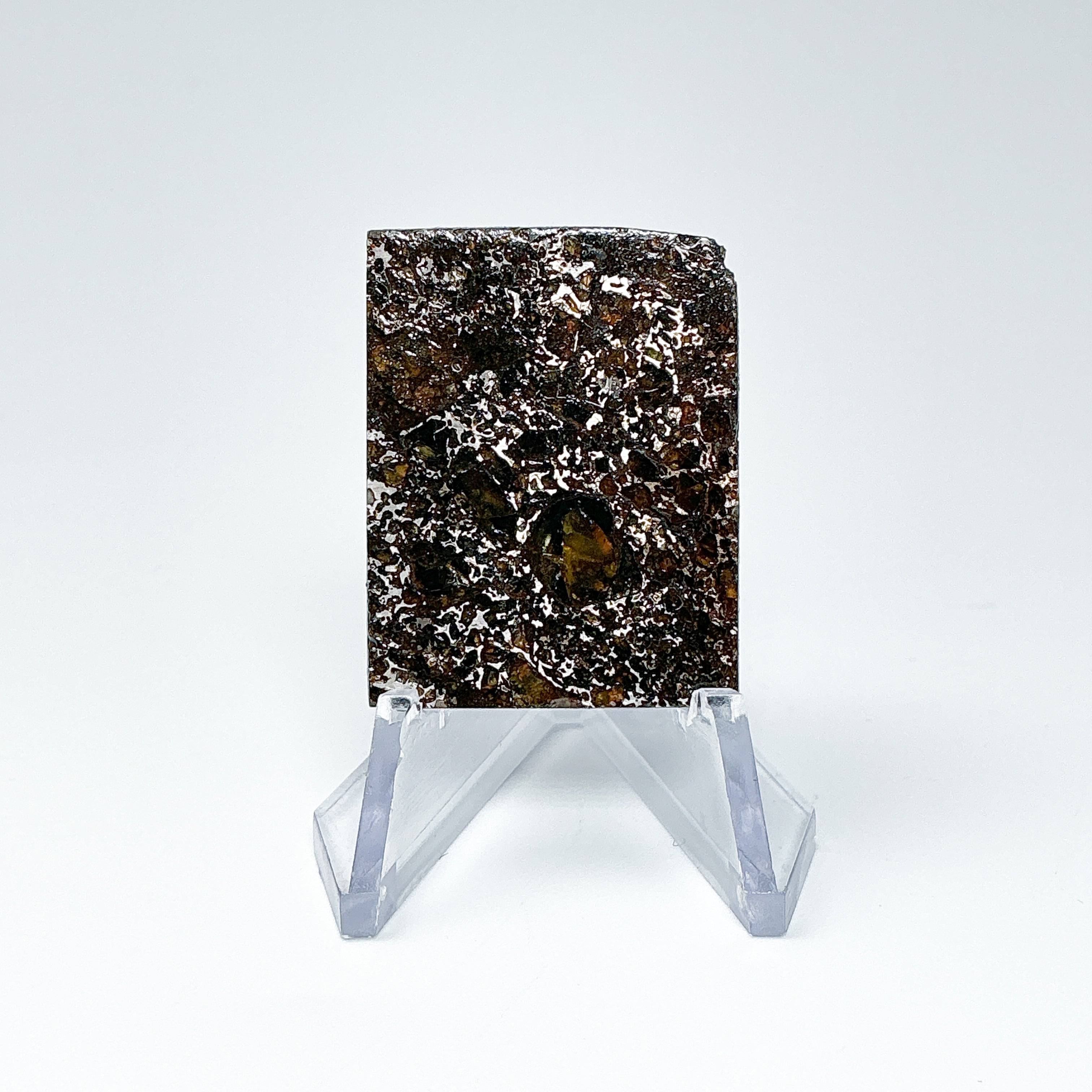 Admire Meteorite Slice - Rocks and Gems Canada