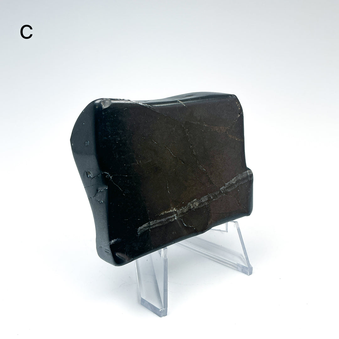 Shungite Slice - Rocks and Gems Canada