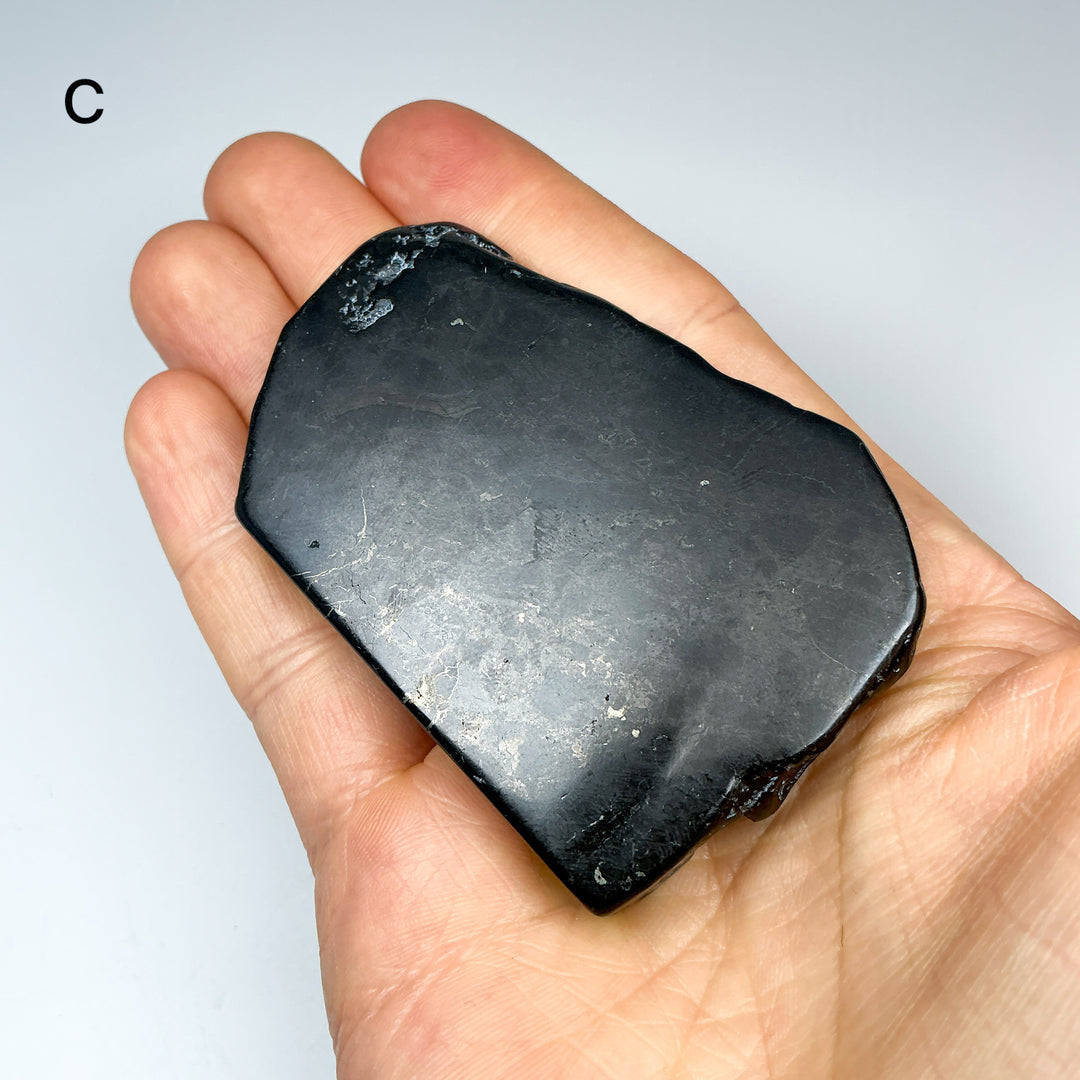 Shungite Slice - Rocks and Gems Canada