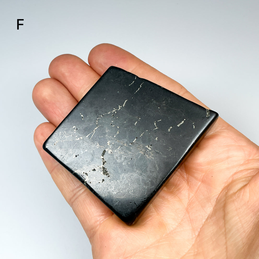Shungite Slice - Rocks and Gems Canada