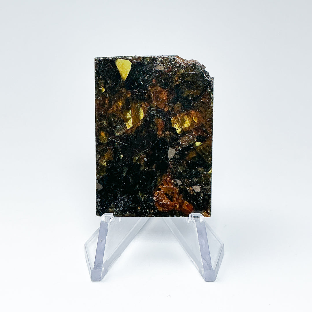 Admire Meteorite Slice - Rocks and Gems Canada