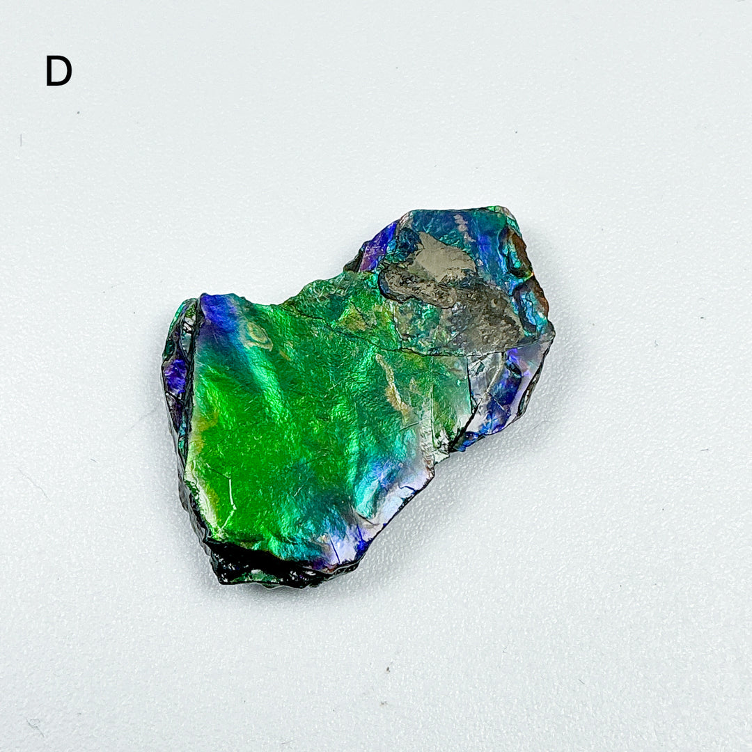 Ammolite Specimen