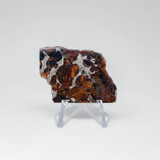 Sericho Meteorite Slice - Rocks and Gems Canada