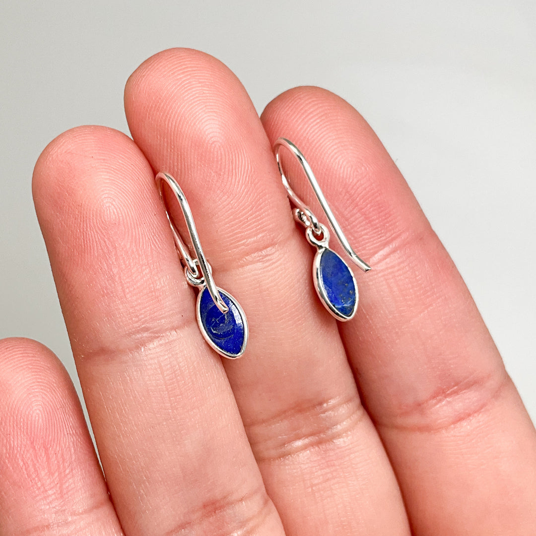 Lapis Lazuli Dangle Earrings - Rocks and Gems Canada