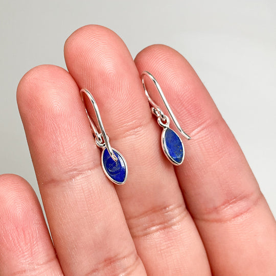 Lapis Lazuli Dangle Earrings - Rocks and Gems Canada