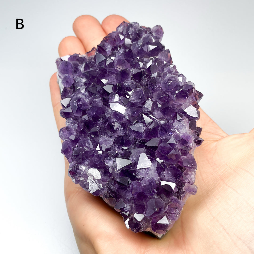 Amethyst Druze Cluster
