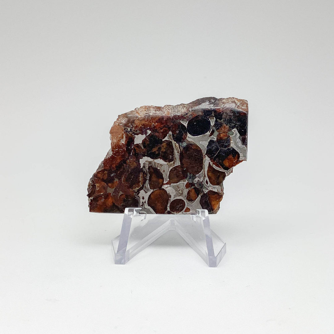 Sericho Meteorite Slice - Rocks and Gems Canada