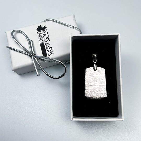 Muonionalusta Meteorite Pendant