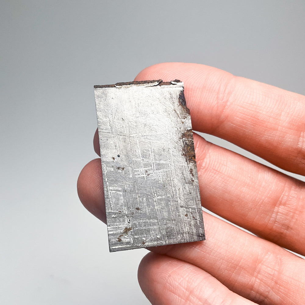 Muonionalusta Meteorite Slice