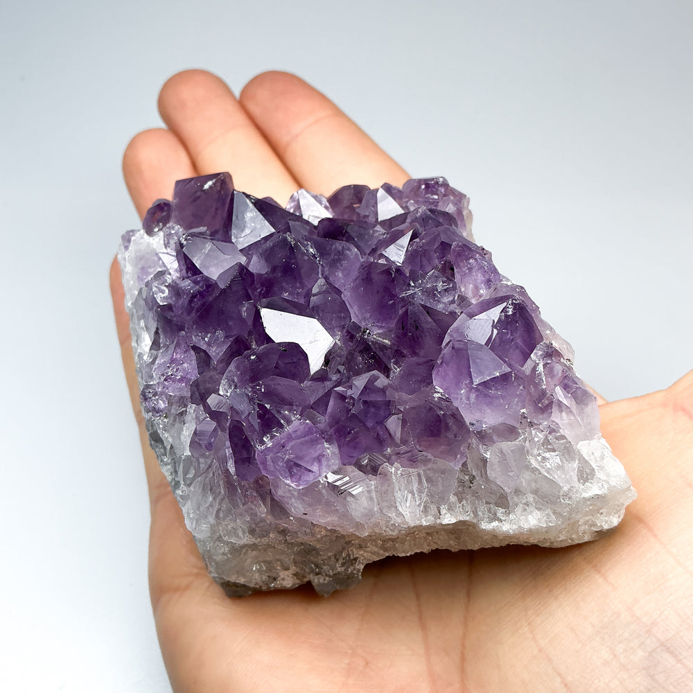 Amethyst Druze Cluster