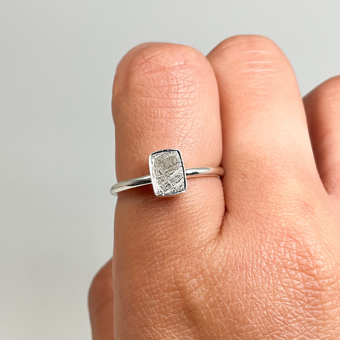 Muonionalusta Meteorite Ring - Rocks and Gems Canada
