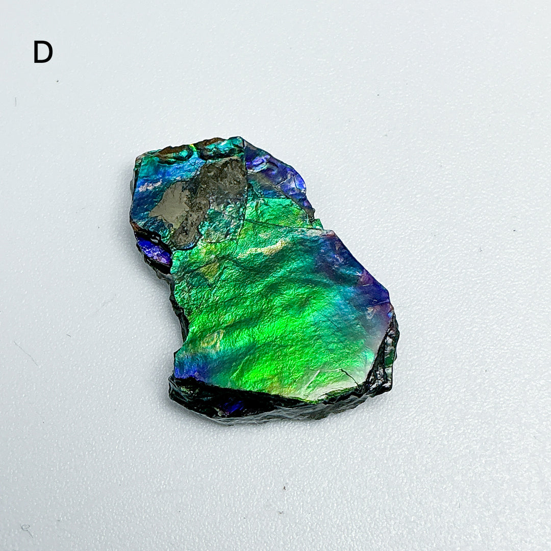 Ammolite Specimen
