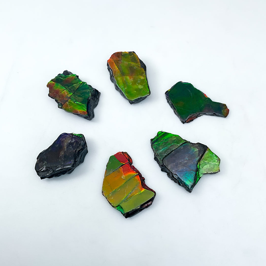 Ammolite Specimen