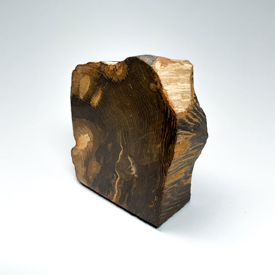 Petrified Wood Stand Up - Rocks and Gems Canada