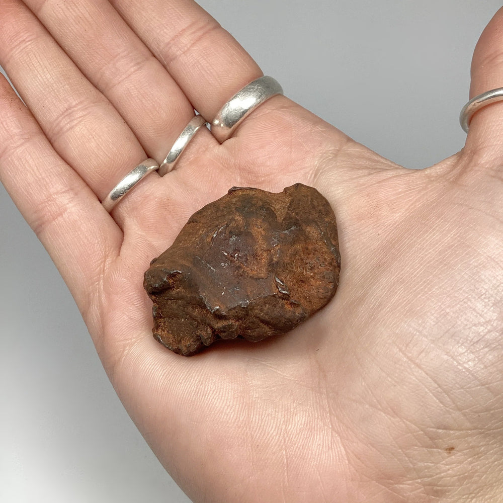 Gebel Kamil Meteorite - Rocks and Gems Canada