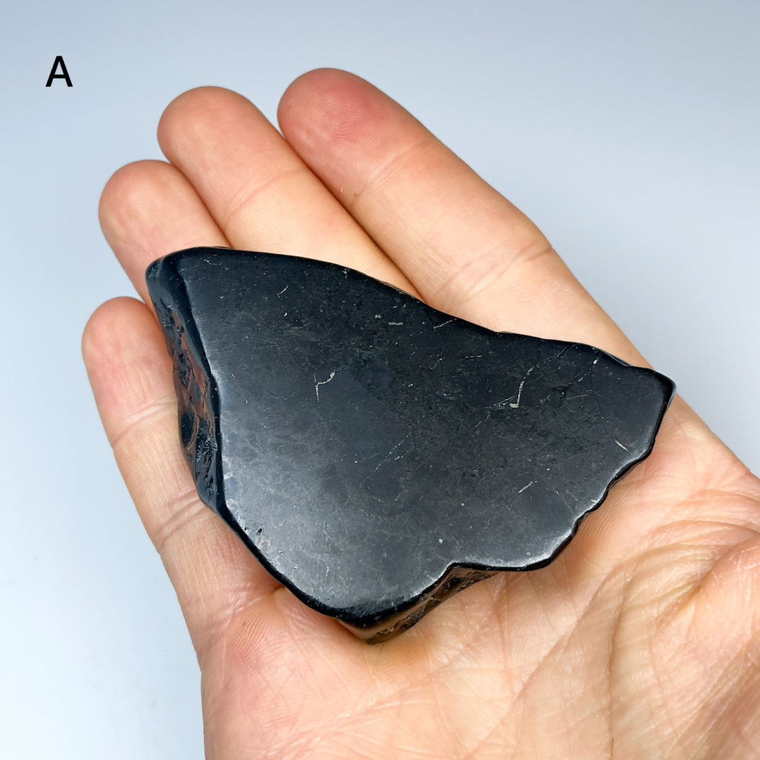 Shungite Slice - Rocks and Gems Canada