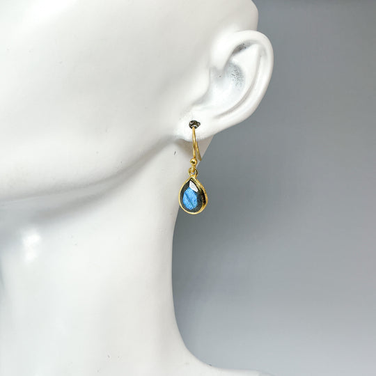 Labradorite Dangle Earrings
